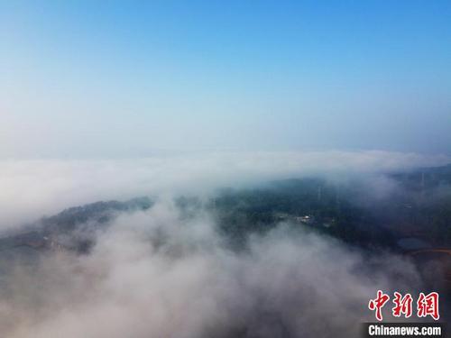 中国侨网12月3日，无人机俯瞰江西省吉安市泰和县城区。　谢子洋　摄