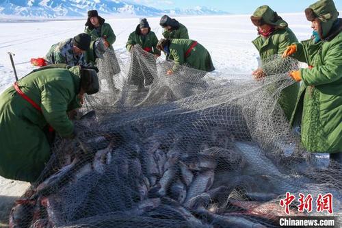中国侨网 新疆哈密市巴里坤草原上二渠水库冬捕现场渔民在捕鱼。　达吾提 · 热夏提　摄