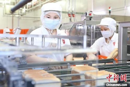 中国侨网东莞港企业嘉顿食品有限公司车间里，工人戴着口罩在机器前忙碌。　李映民　摄