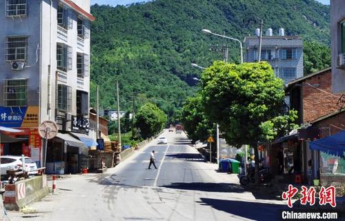 中国侨网图为事故频发地金涵乡苗圃路段。 林榕生 摄