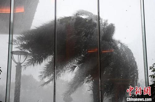 中国侨网“黑格比”在浙江温州乐清沿海登陆。 王刚 摄