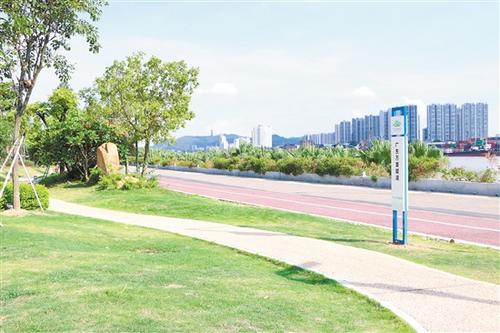 中国侨网不仅是城央绿廊碧道,环人才岛碧道建设也在快速推进。