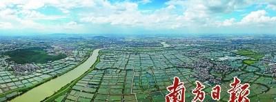 中国侨网桑园围的治水历程,在很大程度上构建了一个水利治理的共同体,也是一部生动的佛山社会互动史。 南方日报记者 戴嘉信 摄
