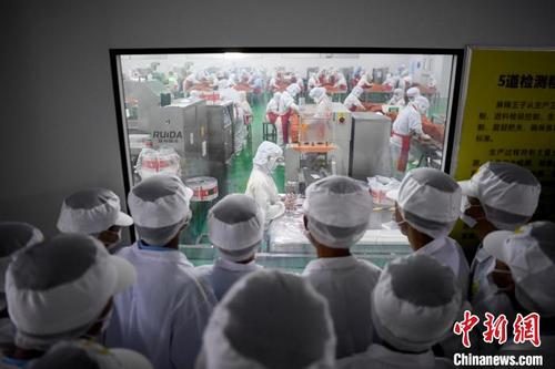中国侨网学生们参观制药级GMP洁净辣条生产车间。　杨华峰　摄