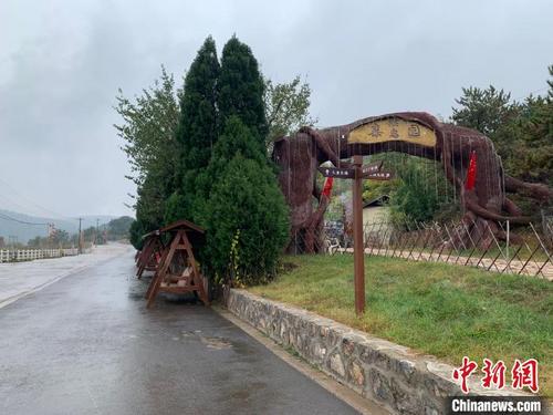中国侨网岭东村引进开发“凤凰山庄”乡村旅游项目。 刘小红 摄