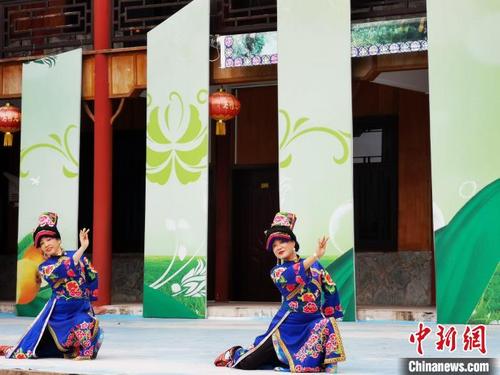 中国侨网石椅羌寨羌族歌舞表演。　单鹏　摄