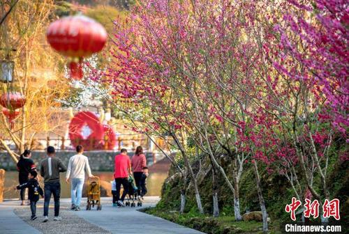 中国侨网游客在永春县北溪文苑风景区内观赏桃花。 康庆平 摄