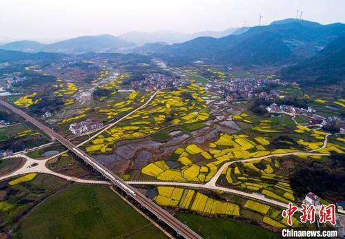 中国侨网随着气温逐步回升，江西省赣北各地的油菜花逐渐进入盛花期。　李学华　摄