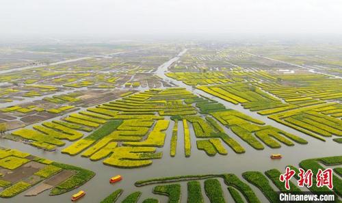 中国侨网3月18日,空中俯瞰万亩“垛田”春景如画。 孟德龙 摄