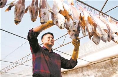 中国侨网林锦胜在晒咸鱼。