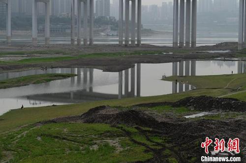 中国侨网跨江大桥桥墩底部也清晰可见。　陈超　摄