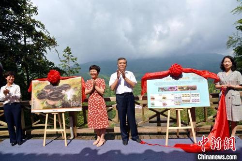 中国侨网在南靖田螺坑土楼群举行的《福建土楼》特种邮票首发仪式。　张梦帆　摄