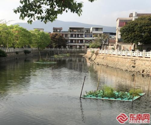 中国侨网梧塘镇的西庄淡河道