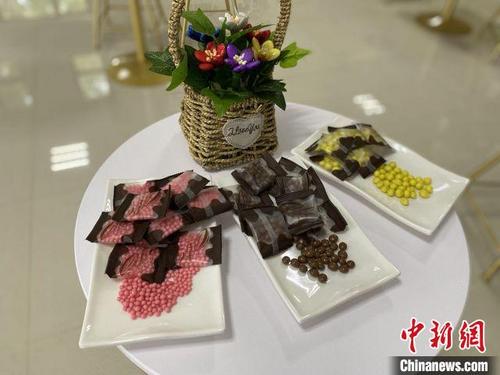 中国侨网中国热带农业科学院科研团队研发的巧克力新产品。 符宇群 摄
