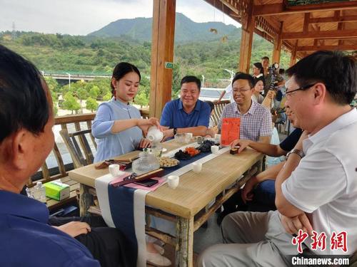 中国侨网图为游客们正端坐在桌前品茶。 叶秋云 摄