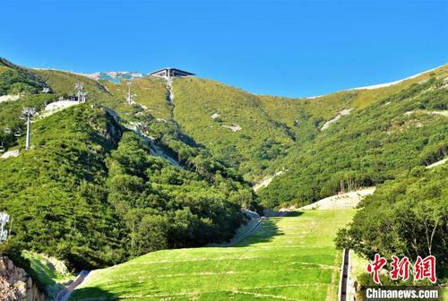 中国侨网国家高山滑雪中心。 北京市重大办供图