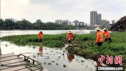 中国侨网“清漂”行动现场。(资料图) 广东省河长办供图