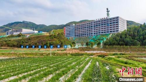 中国侨网广州金农增城现代生态农牧一体化产业基地 广州市增城区委宣传部 供图