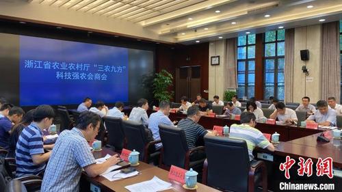 中国侨网会议现场。 钱晨菲 摄