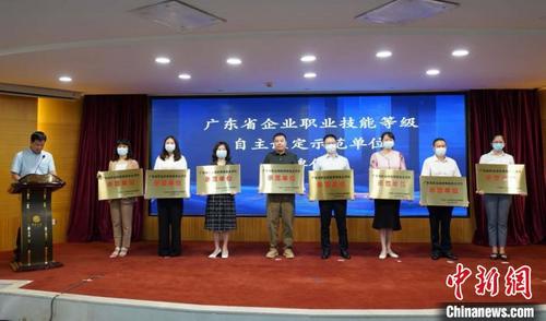 中国侨网广东省企业职业技能等级自主认定示范单位授牌仪式 广东省人社厅 供图