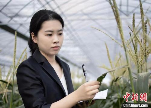 中国侨网青年在建德深耕农业。　建德市委宣传部供图