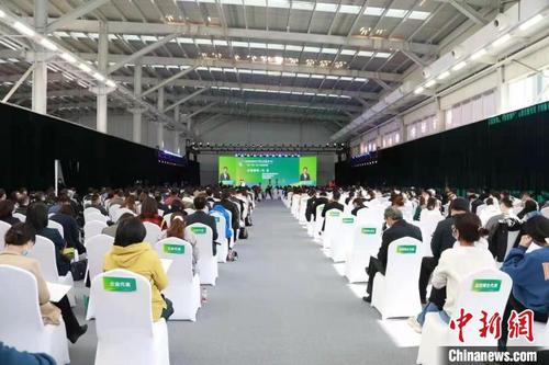 中国侨网19日，“北京城市副中心绿色发展论坛（2021）”在城市绿心活力汇开幕。　论坛组委会供图