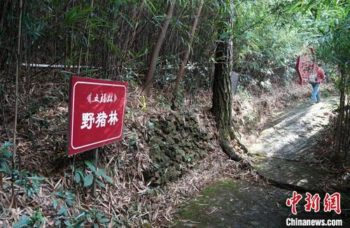 中国侨网公园林区的标志提醒游人。 潘旭临 摄