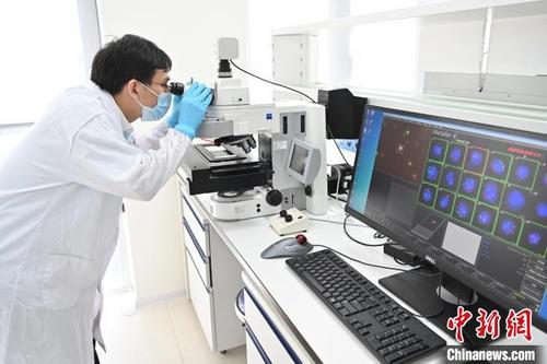 中国侨网循环肿瘤细胞分型检测系统正在进行肿瘤实时监测　陈骥旻　摄