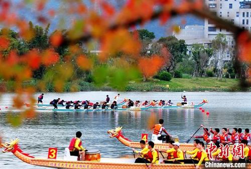 中国侨网图为2021年福建省大学生龙舟锦标赛在福州举行。　张斌　摄
