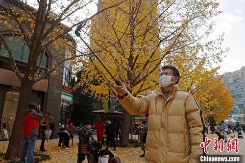 中国侨网市民一边在黄金城道步行街上行走，一边用手机拍摄这美景。　殷立勤　摄