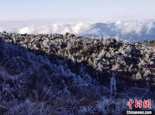 中国侨网福安白云山满山树木银装素裹。 何家进 摄
