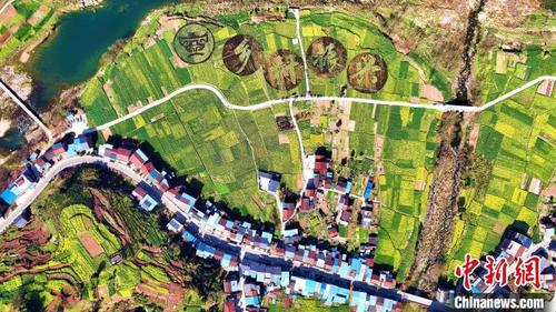中国侨网四川省宣汉县万亩油菜花开。　张平　摄