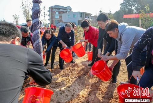 中国侨网“妈祖故里”福建湄洲岛两岸同胞共植树。 林春盛 摄