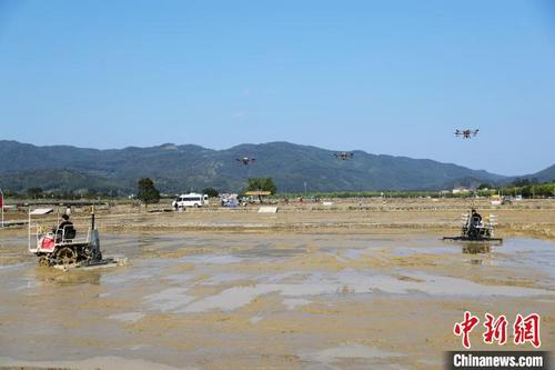 中国侨网广东农田机耕作业（资料图）　广东省农业农村厅 供图
