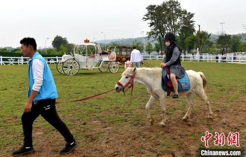 中国侨网图为游客在梁厝历史文化街区体验骑马乐趣。 吕明 摄