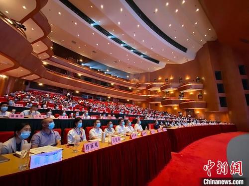 中国侨网论坛现场 丽水宣传部供图