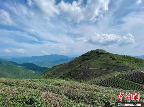 中国侨网丽水缙云的蓝天白云与隐隐青山 项菁 摄
