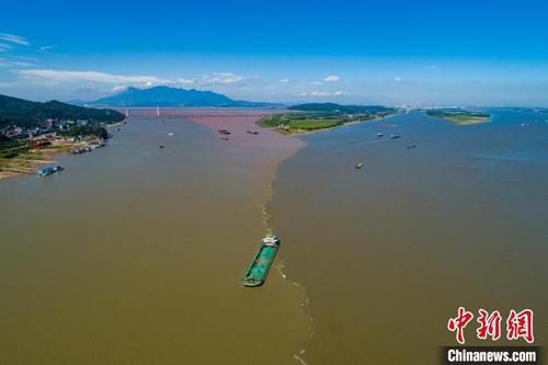 中国侨网盛夏时节，航拍江西九江湖口县鄱阳湖与长江交汇处，水线清浊分明，呈现“江湖两色”的独特景致。　李学华　摄