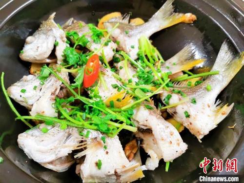中国侨网煲仔生焗“黄脚立” 李晓春 摄