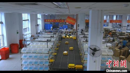 中国侨网图为国庆假日期间海口离岛免税品邮件处理中心作业场景。 海南省邮政管理局供图
