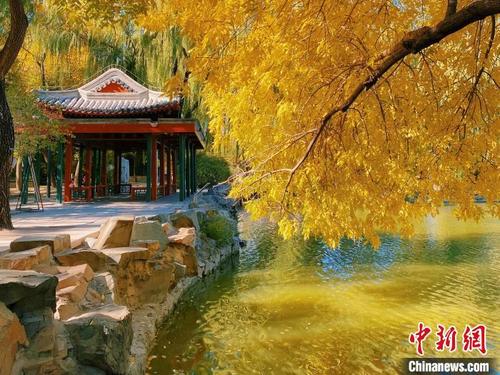 中国侨网图为北京动物园瀛湖。　北京市公园管理中心供图