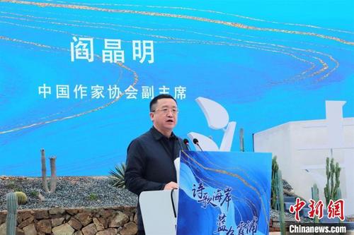 中国侨网中国作家协会副主席阎晶明致辞。 叶茂 摄