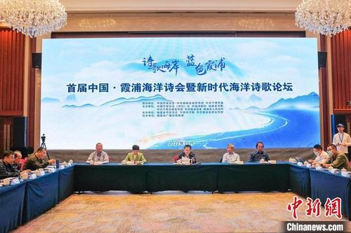 中国侨网新时代海洋诗歌论坛现场。 郑镇 摄
