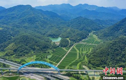 中国侨网罗桥村石上山塘航拍全景 卢广供图