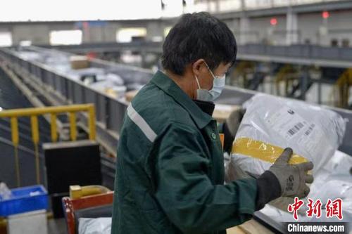 中国侨网快递点工作人员使用自动分拣机分拣包裹。　 董易鑫　摄
