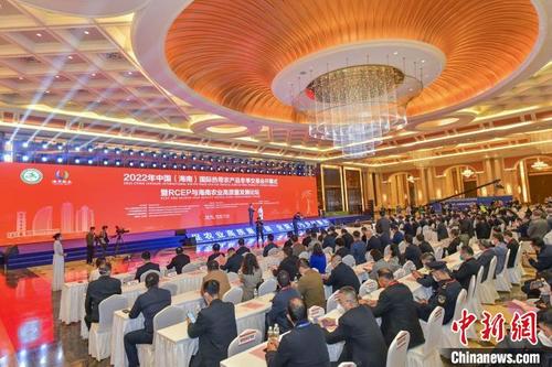 中国侨网12月15日,2022年中国(海南)国际热带农产品冬季交易会在海南国际会展中心开幕。 骆云飞 摄