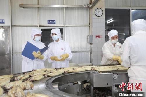 中国侨网佛山海关驻顺德办事处关员对出口烤鳗生产过程进行监管。　关悦　摄
