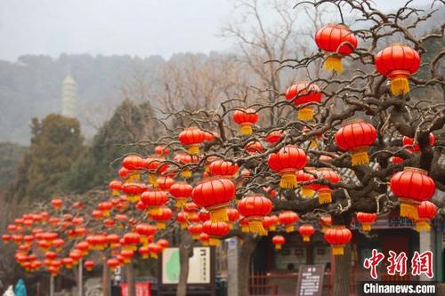 中国侨网图为香山公园环境布置。 北京市公园管理中心供图