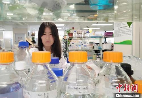 中国侨网崖州湾种子实验室，科研人员在实验室内工作（资料图）。　王晓斌　摄