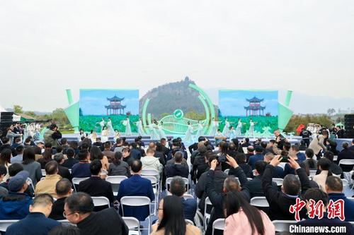 中国侨网第十六届中国茶商大会暨浙江省“三茶统筹”发展推进会 松阳县委宣传部 供图
